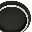 Steinhauer ceiling luminaire RINGLUX 1 flame IP20, black dimmable