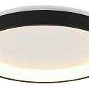 Steinhauer Luminaire de plafond RINGLEDE IP20, noir gradable