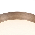 Steinhauer ceiling luminaire FLADY IP20, dimmable
