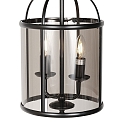 Steinhauer pendant luminaire PIMPERNEL 2 flames E14 IP20, black dimmable
