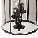 Steinhauer pendant luminaire PIMPERNEL 2 flames E14 IP20, black dimmable