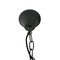 Mexlite Mexlite Pendant luminaire DENSI, 1 flame, black