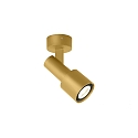 Applique et plafonnier SARA ON BASE 1.0 - PAR16 inclinable GU10 IP20, or gradable