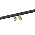 Projecteur sur rail CENO ON STREX 2.0 à 2 flammes, avec adaptateur IP20, champagne, noir mat gradable