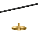 Luminaire à suspension monophasé ODREY ON TRACK 1.2 adaptateur monophasé inclus GU10 IP20, or