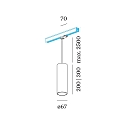 Wever & Ducr� Luminaire suspendu triphas� RAY ON TRACK 3.0 - PAR16 cylindrique, langue, avec adaptateur GU10 IP20, mat, noir profond gradable
