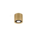 spot RAY MINI CEILING SURF 1.0 PAR16 GU10 IP20, champagner dimmable