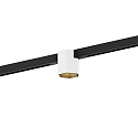 track spot HEXO ON STREX 1.0 with adapter IP20, gold, black matt, white matt dimmable