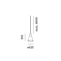 Wever & Ducré pendant luminaire ODREY CEILING SUSP 1.4 PAR16 GU10 IP20, black matt 