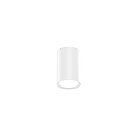 Outdoor LED Ceiling luminaire TRAM ROUND 1.0, IP65, round, 6W 3000K 36�, CRi >90, dimmable, white