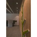 SLV Luminaire de plafond TRILEDO CL cylindrique, pivotant GU10 IP20, blanche gradable