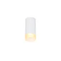 Luminaire de plafond ASTINA Bas, cylindrique, avec diffuseur GU10 IP20, blanche gradable