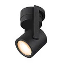 SLV Spot OCULUS CW Dim-To-Warm IP20, noir , transparent