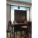 SLV Luminaire à suspension OCCULUS PD SINGLE DTW Dim-To-Warm IP20, noir, transparent gradable