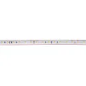 SLV Bande LED GRAZIA IP FLEXSTRIP IP54, blanche