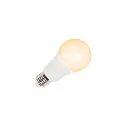 SLV Lampe LED forme poire VALETO® CCT TUNABLE SMART A60 Tunable White