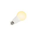 SLV Lampe LED forme poire VALETO® CCT TUNABLE SMART A60 Tunable White