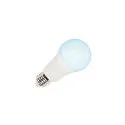 SLV Lampe LED forme poire VALETO® CCT TUNABLE SMART A60 Tunable White