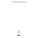 SLV Luminaire à suspension NUMINOS® XS TRACK 48V contrôlable par DALI IP20, chrome, blanche gradable