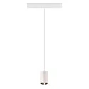 SLV Luminaire à suspension NUMINOS® XS TRACK 48V contrôlable par DALI IP20, chrome, blanche gradable
