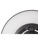 SLV Luminaire mural d'extérieur I-RING rond, commutable, avec diffuseur, pivotant à la cardan IP65, anthrazit 