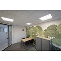 SLV ceiling luminaire PANEL V 625 DALI DALI controllable, CCT Switch, UGR < 19 IP54 / IP40, white, lacquered dimmable