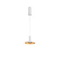 SLV Luminaire à suspension LALU® MIX&MATCH version pour montage en surface IP20, blanche gradable