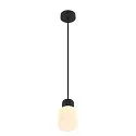 SLV Luminaire à suspension VARYT E14 IP20, noir