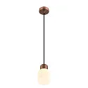 SLV pendant luminaire VARYT without shade E14 IP20, dimmable