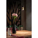 SLV 1-phase pendant luminaire PURI 2.0 BASIC GU10 IP20, black dimmable