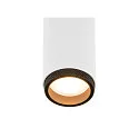 SLV ceiling luminaire GRIP!M SINGLE IP20, black, white, lacquered dimmable