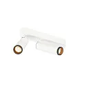 SLV Luminaire de plafond GRIP!M DOUBLE IP20, noir, blanche, laqué gradable