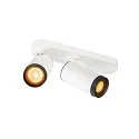 Luminaire de plafond GRIP! L SPOT CL DOUBLE cylindrique GU10 IP20, noir, blanche, laqué gradable