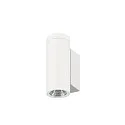 SLV Luminaire mural d’extérieur HELIA PRO S UP/DOWN haut / bas, cylindrique, contrôlable par DALI, résistant aux chocs IP65