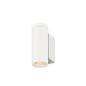 SLV Luminaire mural d’extérieur HELIA PRO S UP/DOWN haut / bas, cylindrique, contrôlable par DALI, résistant aux chocs IP65