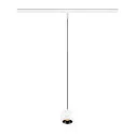 Luminaire à suspension LIGHT EYE® 2.0 IP20, noir, blanche gradable