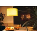 SLV Pendant luminaire FENDA E27 Pendant rod, shade excl., chrome