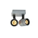 Luminaire mural d’extérieur MYRA DOUBLE à 2 flammes, rotatif, inclinable GU10 IP55, Gris argent gradable