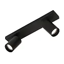 Spot GINA 3874/R2 à 2 flammes, réglable GU10 IP20, noir  gradable