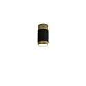ceiling luminaire LUX 3989/6 IP20, gold, black glossy