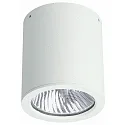 Plafonnier extérieur TYPE NO 2130 rigide E27 44, blanche gradable