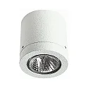 Outdoor Ceiling spot Type No. 2140, IP23, GU10 PAR16 max. 50W, white