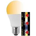 HWH Lampe LED forme poire A60 CCT Switch, commutable E27 10W 810lm 2700,6500,4000K 200° CRI >80 