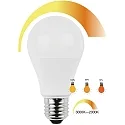 HWH Ampoule à filament forme standard A60 CCT Switch, dimmable E27 10W 806lm 3000-2000K 200° CRI > 80 gradable