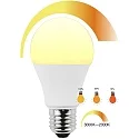 HWH Ampoule à filament forme standard A60 CCT Switch, dimmable E27 10W 806lm 3000-2000K 200° CRI > 80 gradable