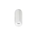 Downlight PENCIL MAXI cylindrique, version pour montage en surface IP20, couvert de poudre, blanche gradable