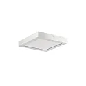 LED panel REFIDO 2CCT DALI-2 / 32.5 X 32.5 CM surface-mounted version, DALI controllable, CCT Switch, UGR < 19, dimmable 13