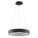 Luminaire à suspension GEORGA 2CCT DIM CCT Switch, forme de l'anneau IP20, noir mat gradable