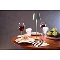 Deko-Light Lampe de table à accu CANIS CCT Switch, avec variateur tactile, sans chargeur IP65, mat, gris-vert gradable