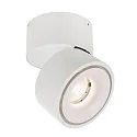 Luminaire de plafond UNI II TILT à 1 flamme, pivotant à la cardan IP20, blanche gradable